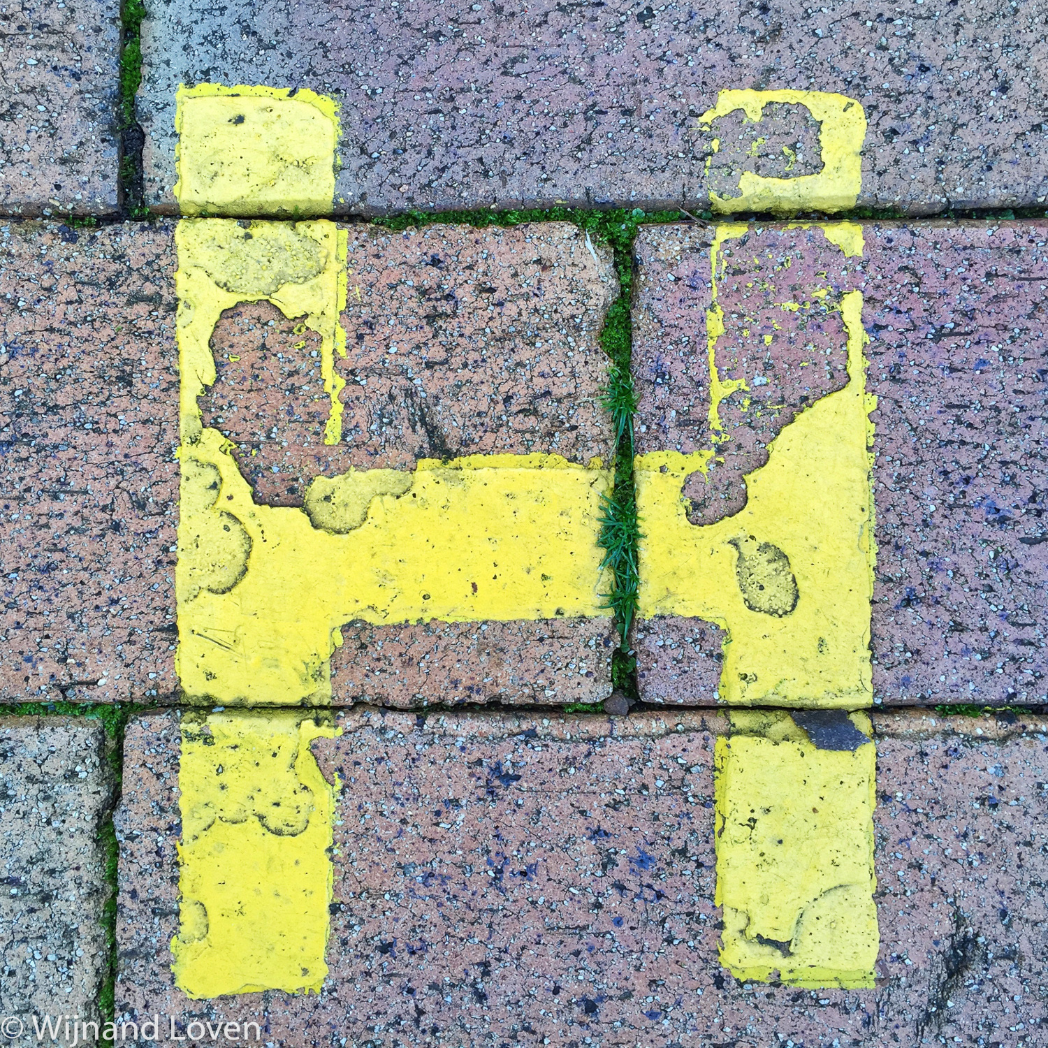 mobile photography - type details