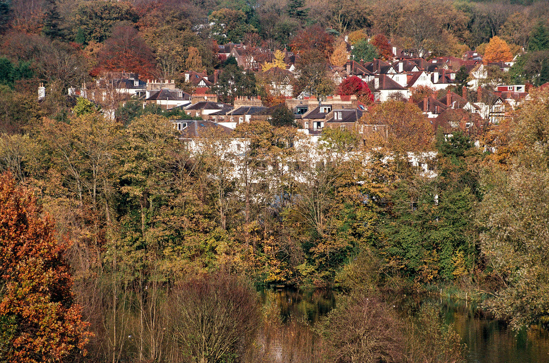 Hampstead Pond