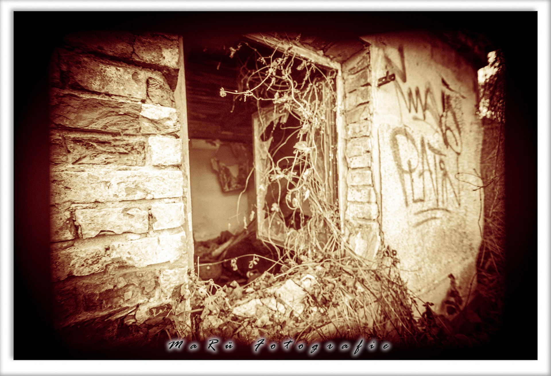 Das Fenster