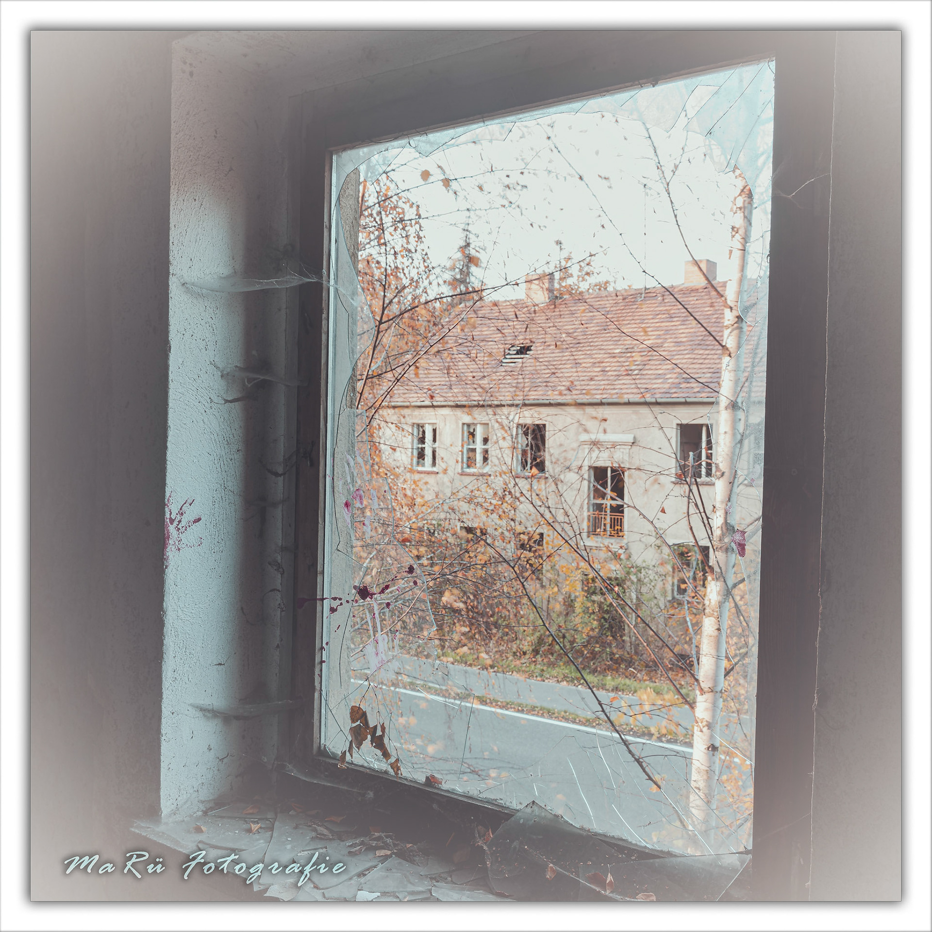 Am Fenster