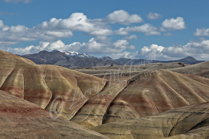 Painted Hills, Wheeler County, Oregon - Image #2212