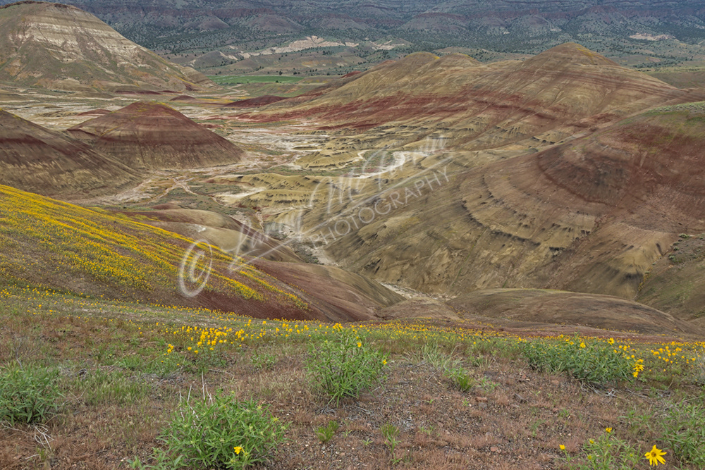 Painted Hills, Wheeler County, Oregon - Image #4074