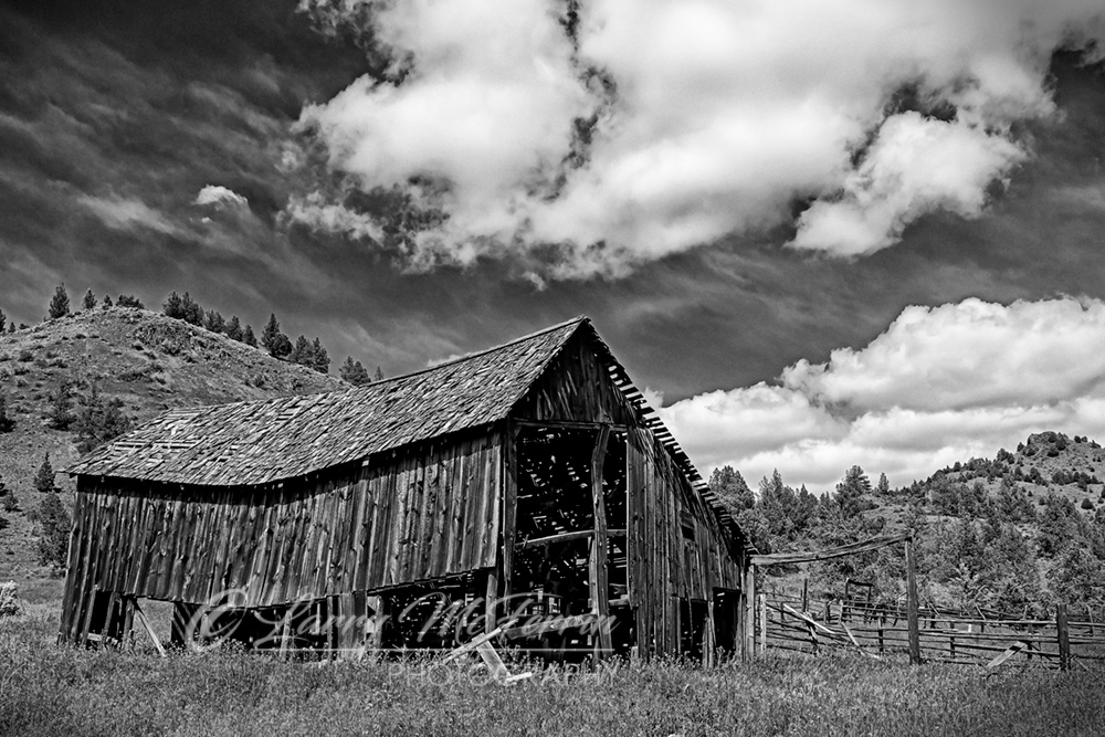 Old Barn, Wheeler County, Oregon - Image #4216BW