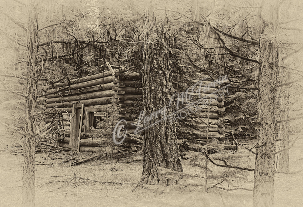 Cabin in the Woods, Ochoco NF, Oregon - Image 6921DA