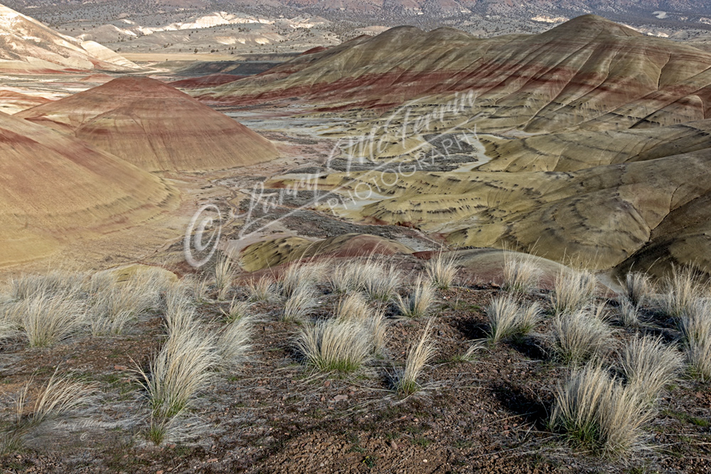 Painted Hills, Wheeler County, Oregon - Image #Painted Hills, Wheeler County, Oregon - Image #2218