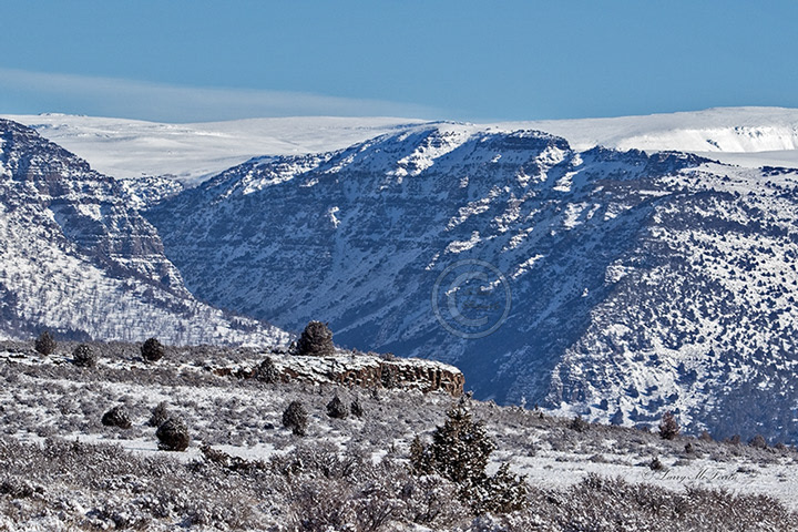 Little Blitzen Gorge, Steens Mountain, Oregon - Image #0852