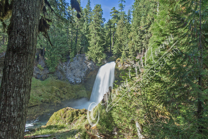 Sahalie Falls, Oregon - Image #0420