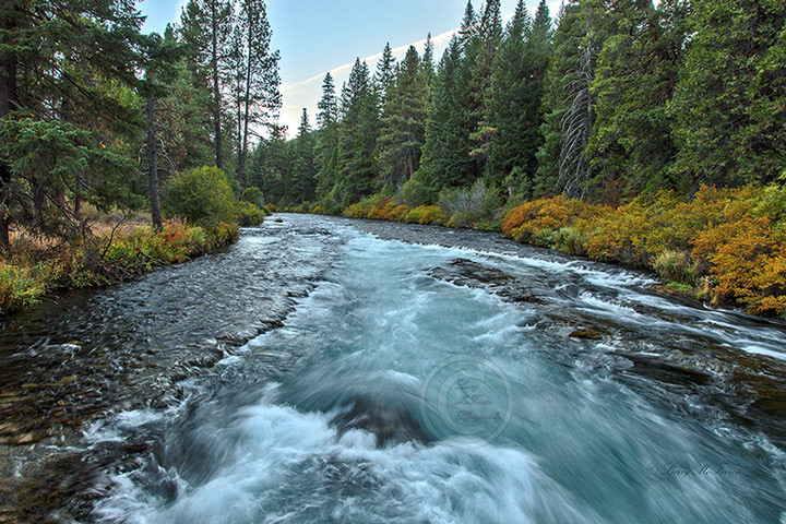 Metolius River, Deschutes County, Oregon - Image #0467