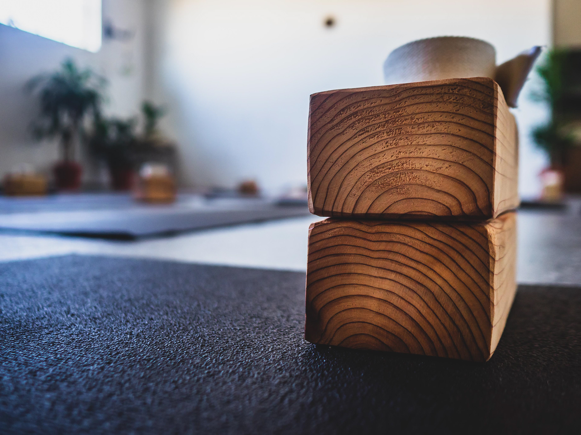 YOGA SHALA