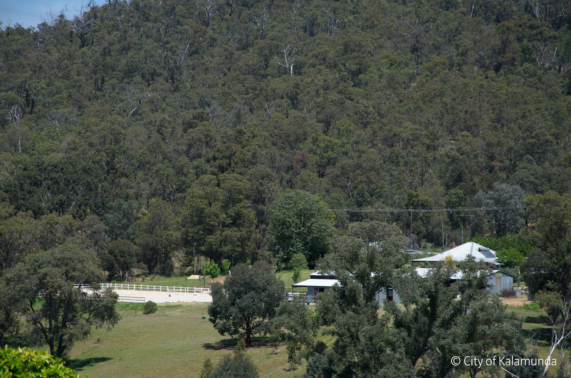 Piesse Brook