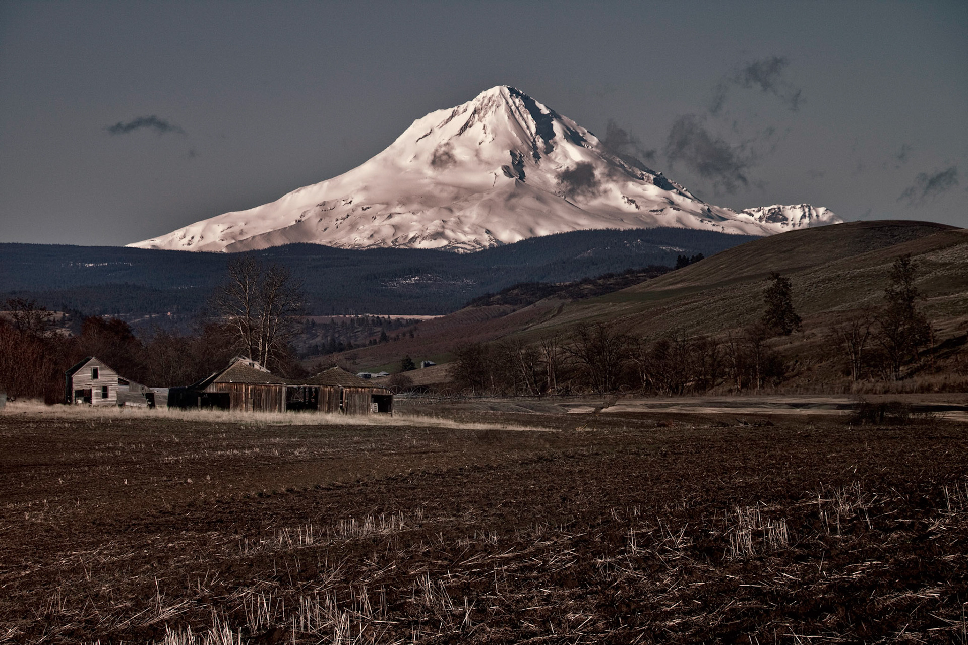 Mt. Hood