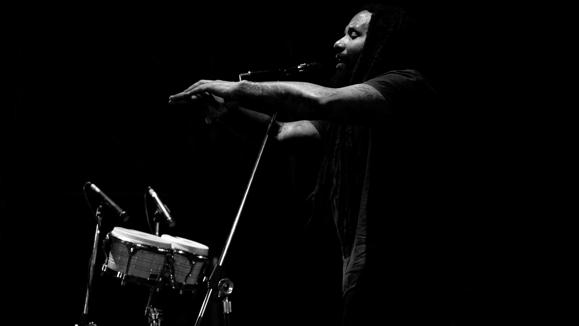 KY-MANI MARLEY
