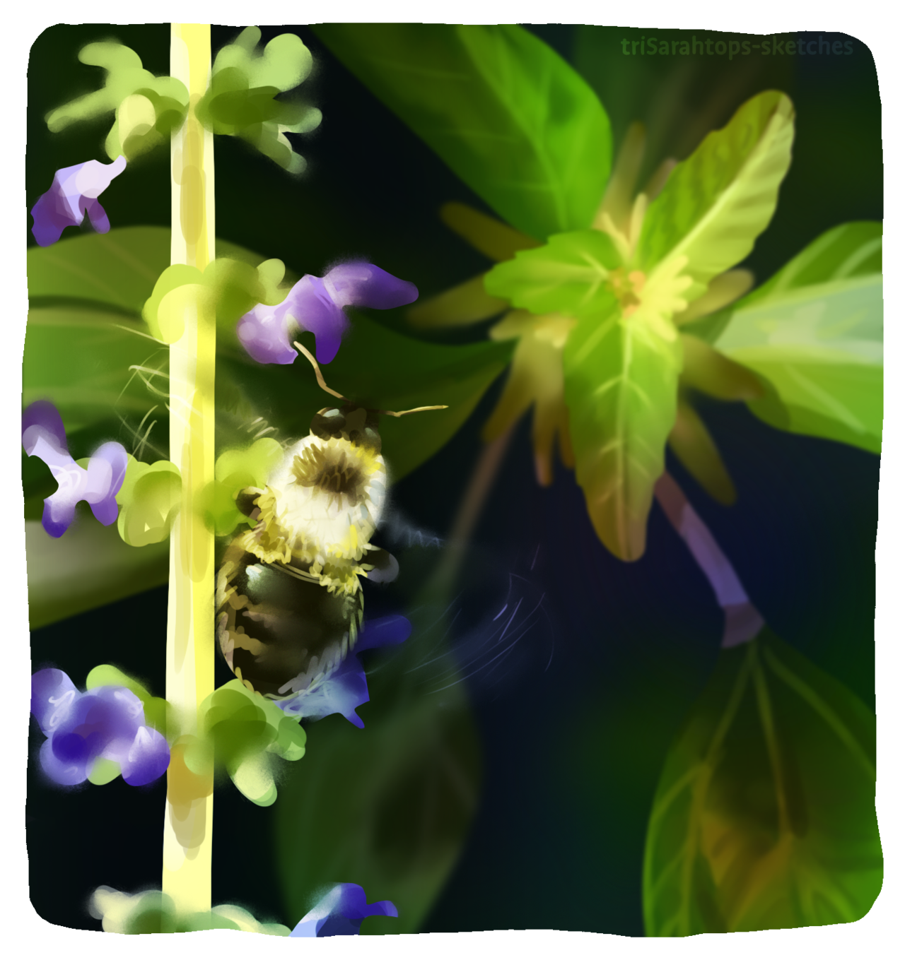 Bee; Digital