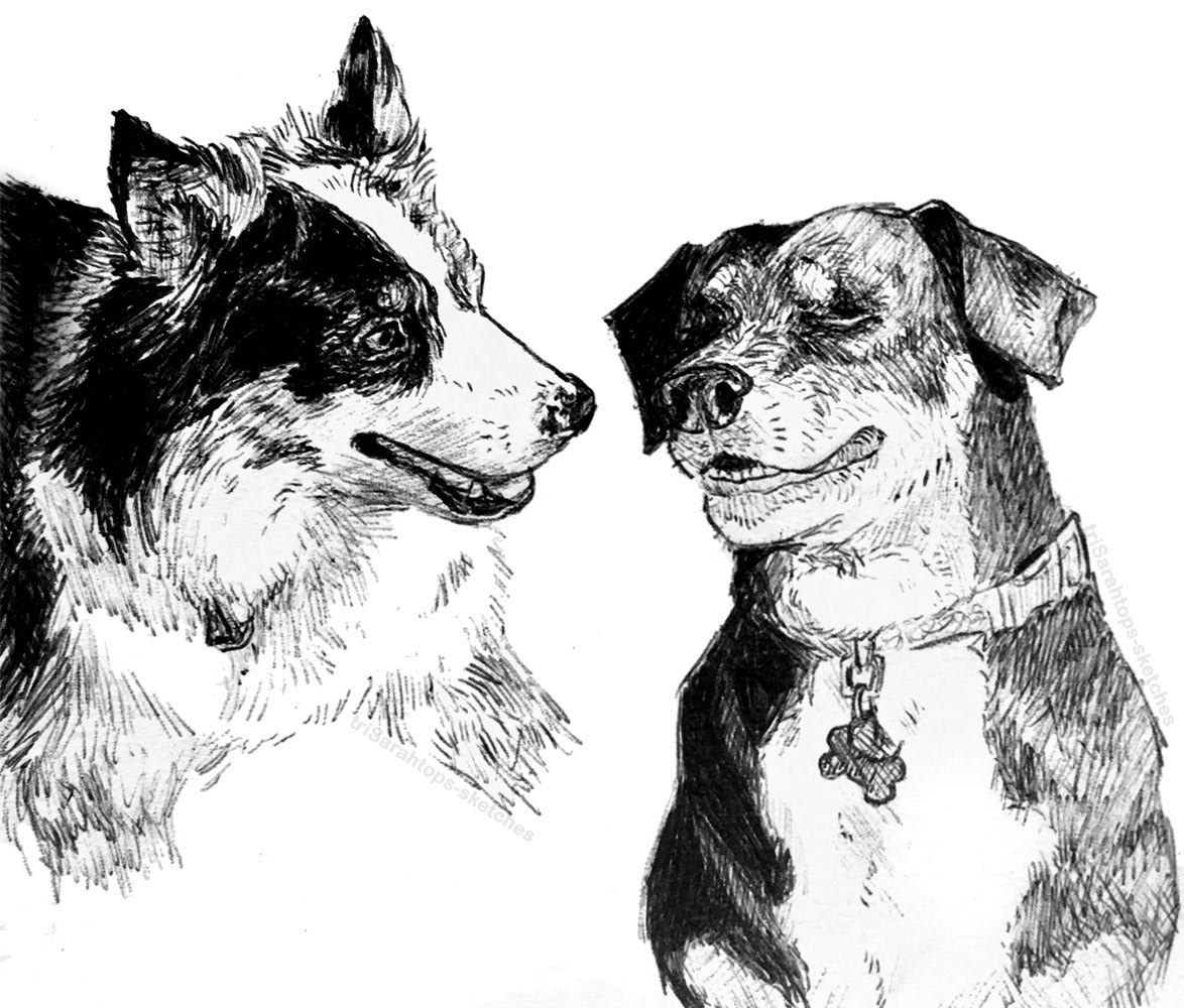 Sir Sky the Silly & Sir Ella the Blind Hound; Ink