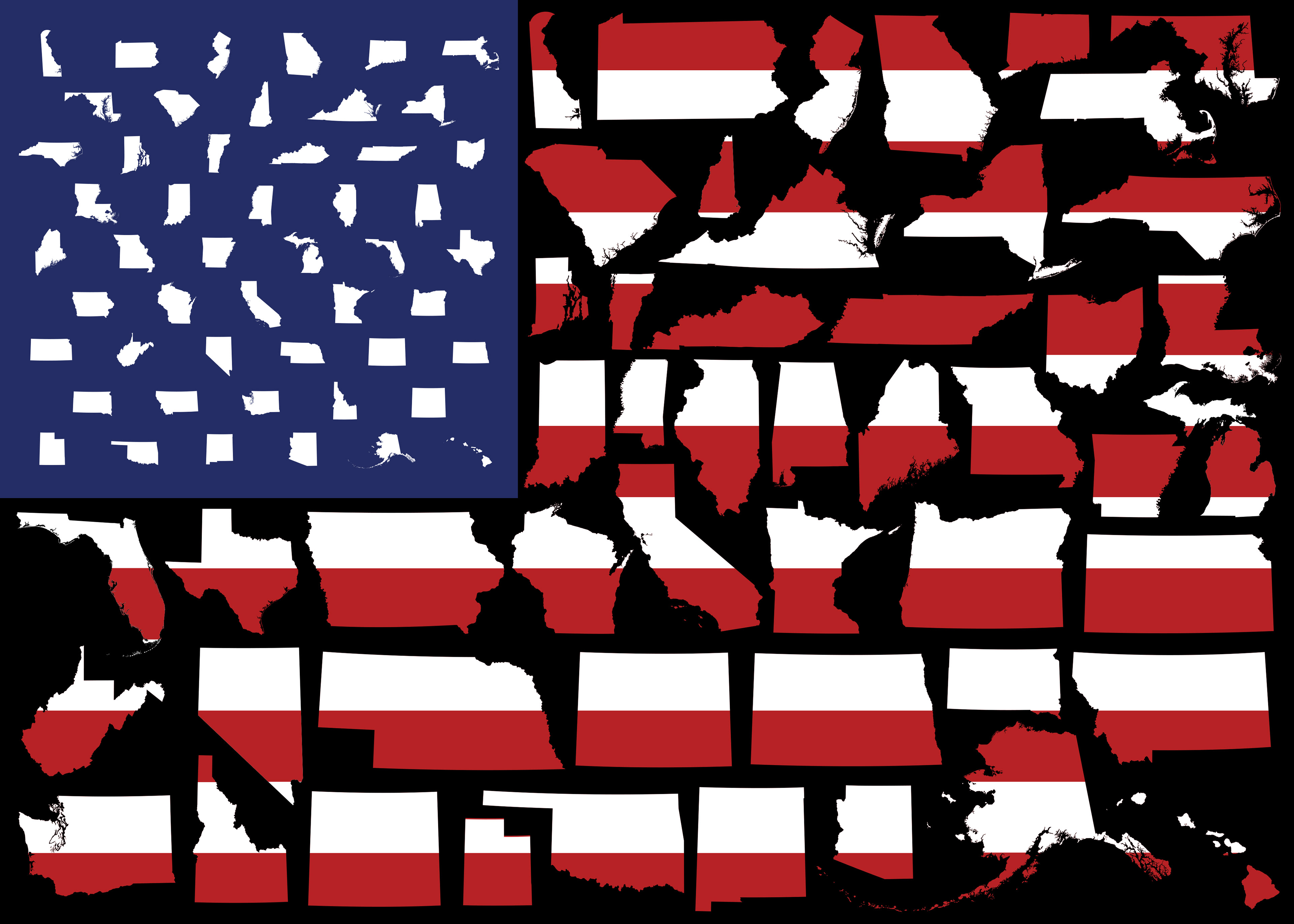 The Divided States of America. Available at: https://displate.com/displate/1197018