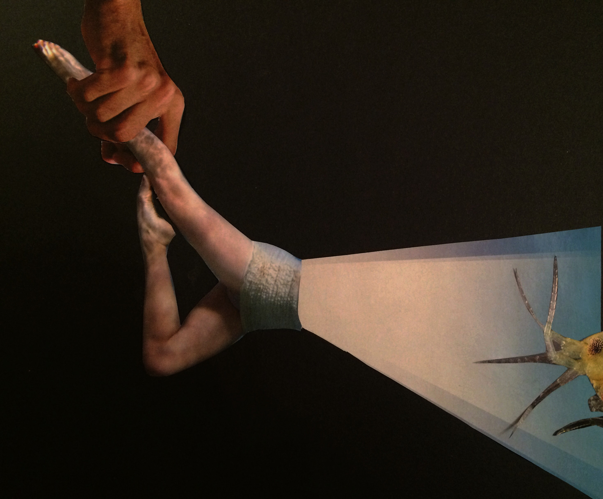 Batyskaf/ Bathyscaphe (2016)