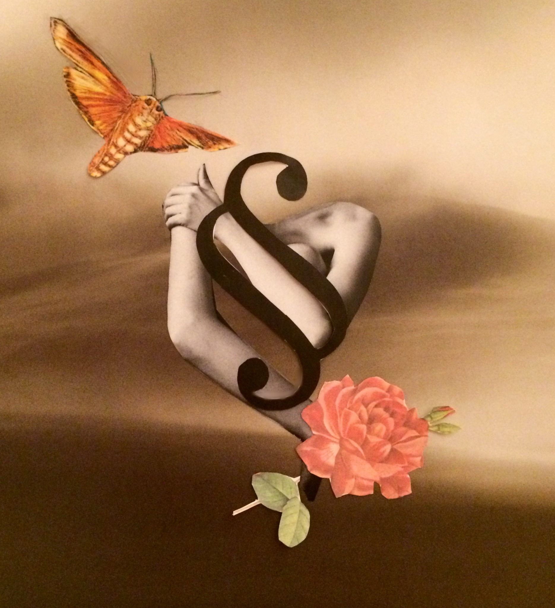 Paragraf / Paragraph (2017) 