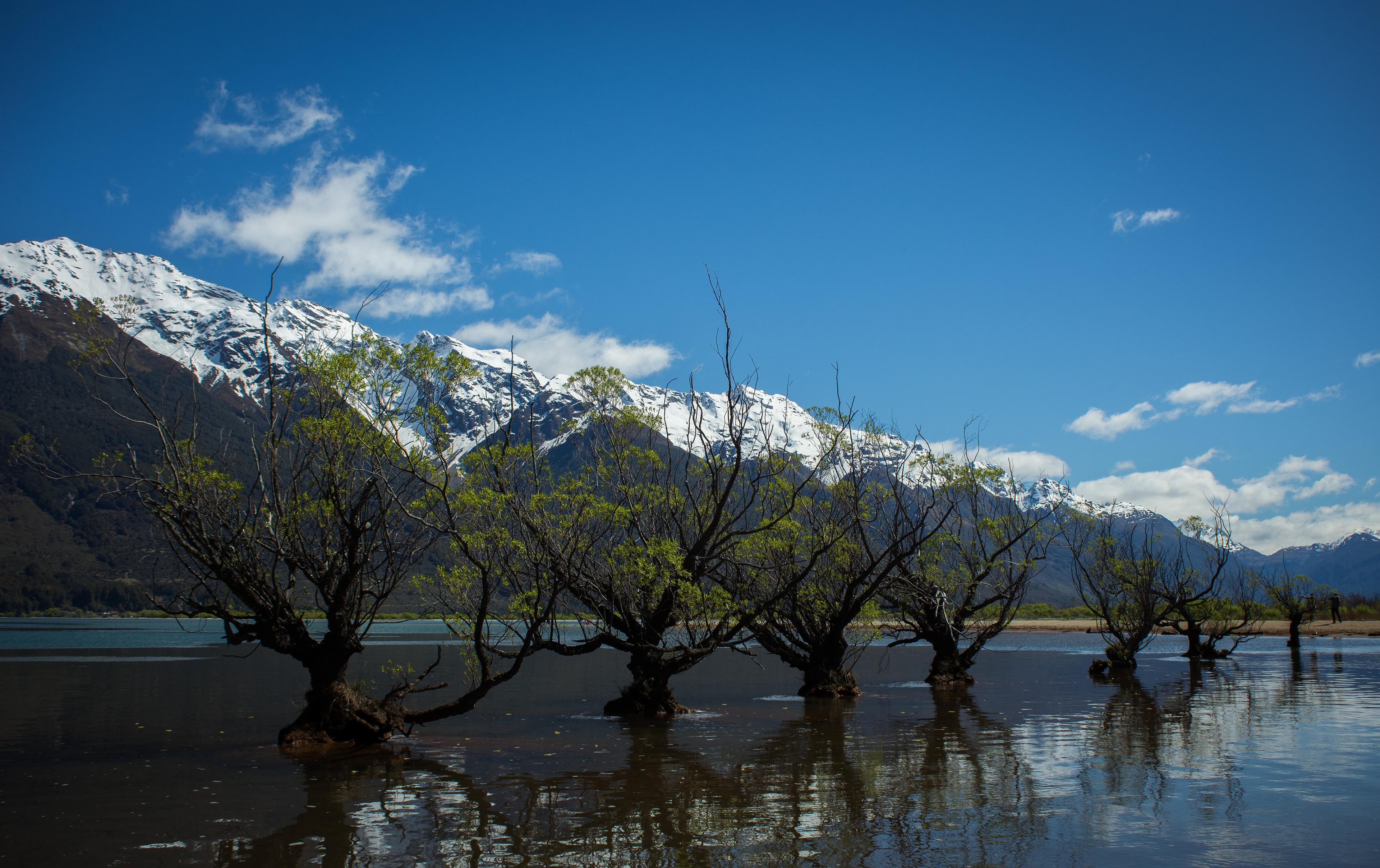 Willows at Glenorchy
