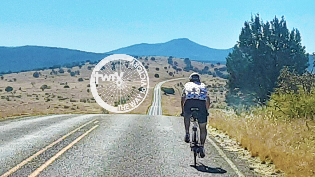 TWTV Website - Mobile Header Image