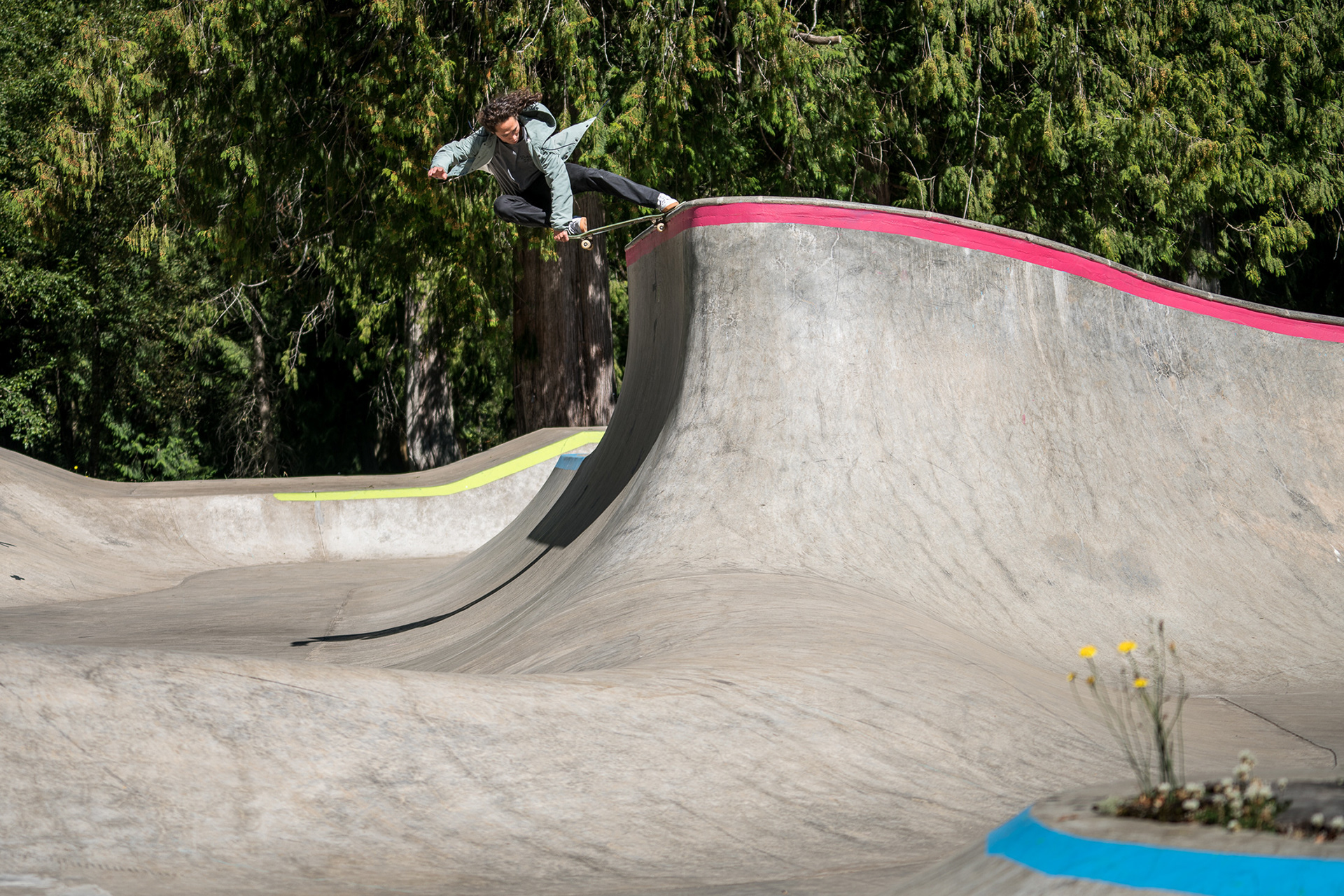 Shawn Hale / Windells