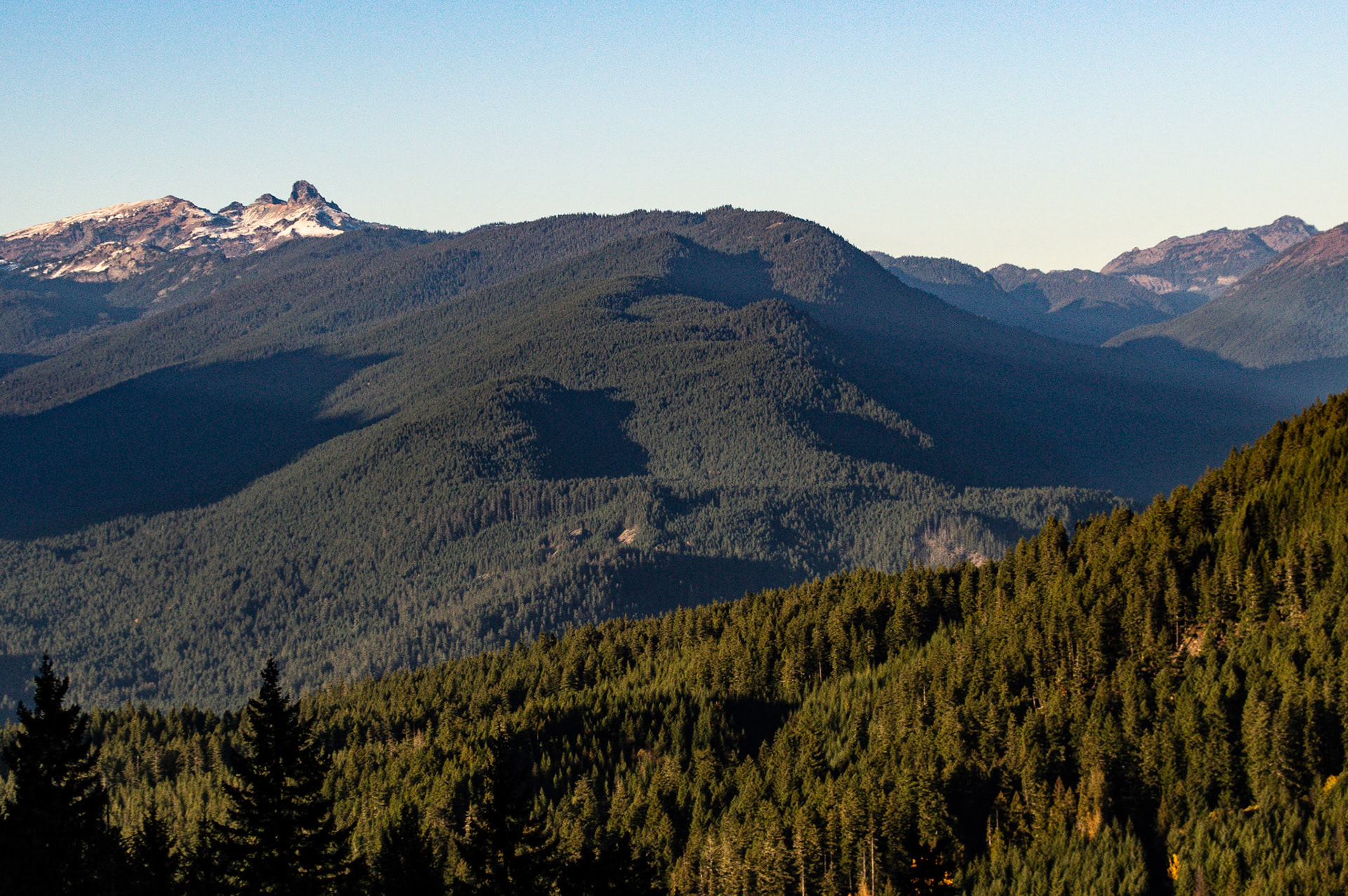 The Cowlitz Divide as seen from USFS 48