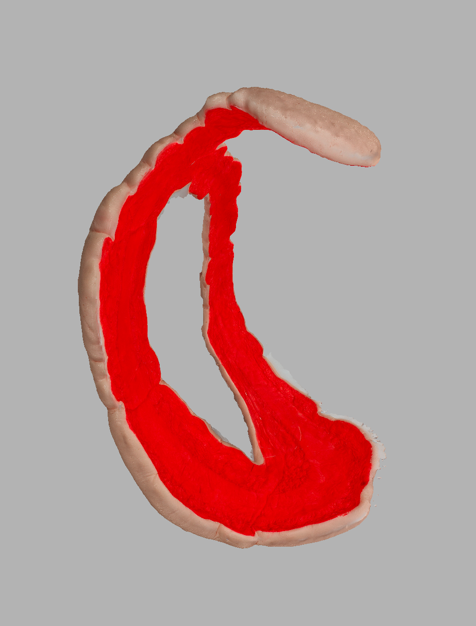 'Red Gesture' / Copyright © Christopher Pearson 2018