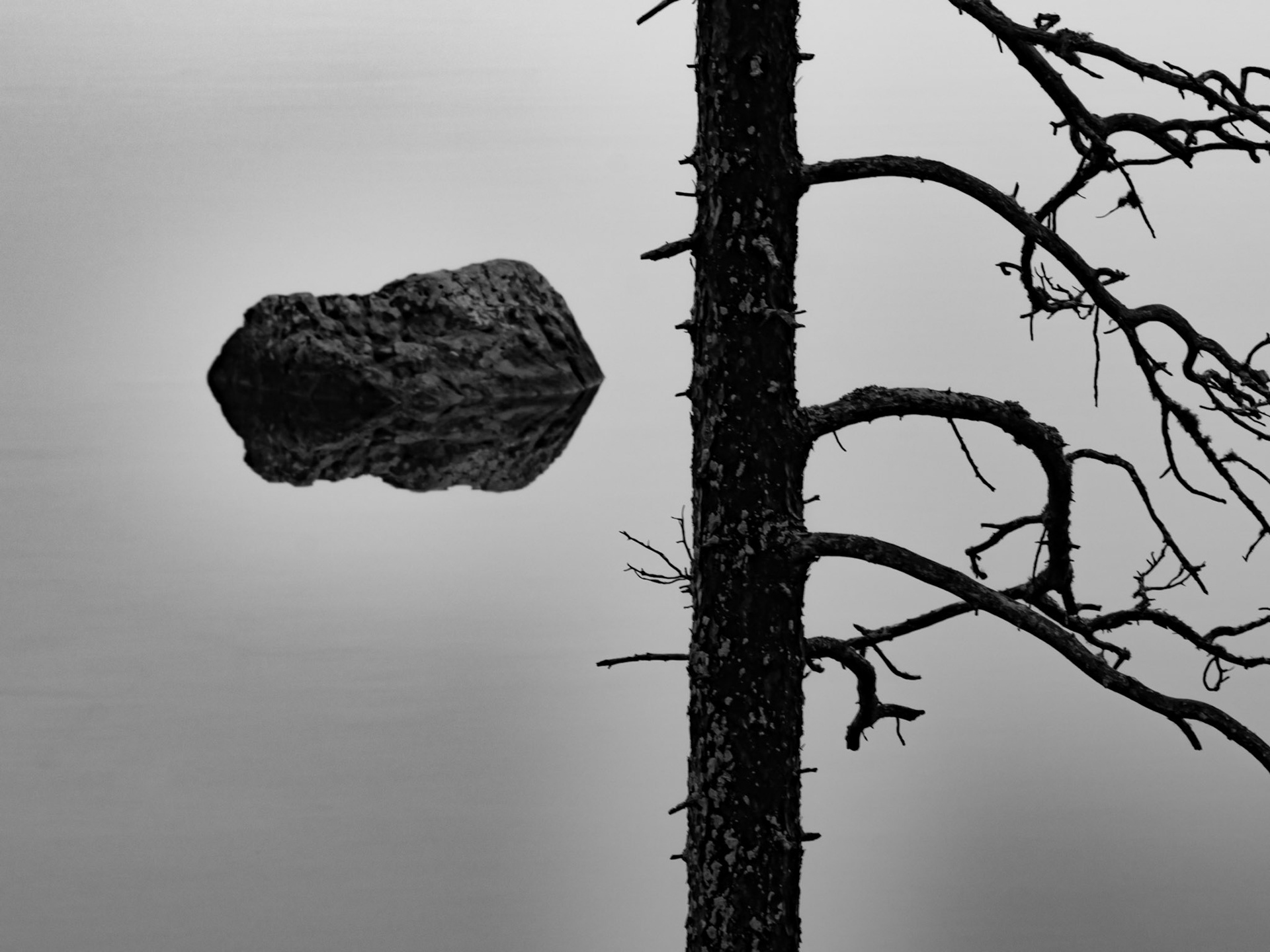 Something in the water