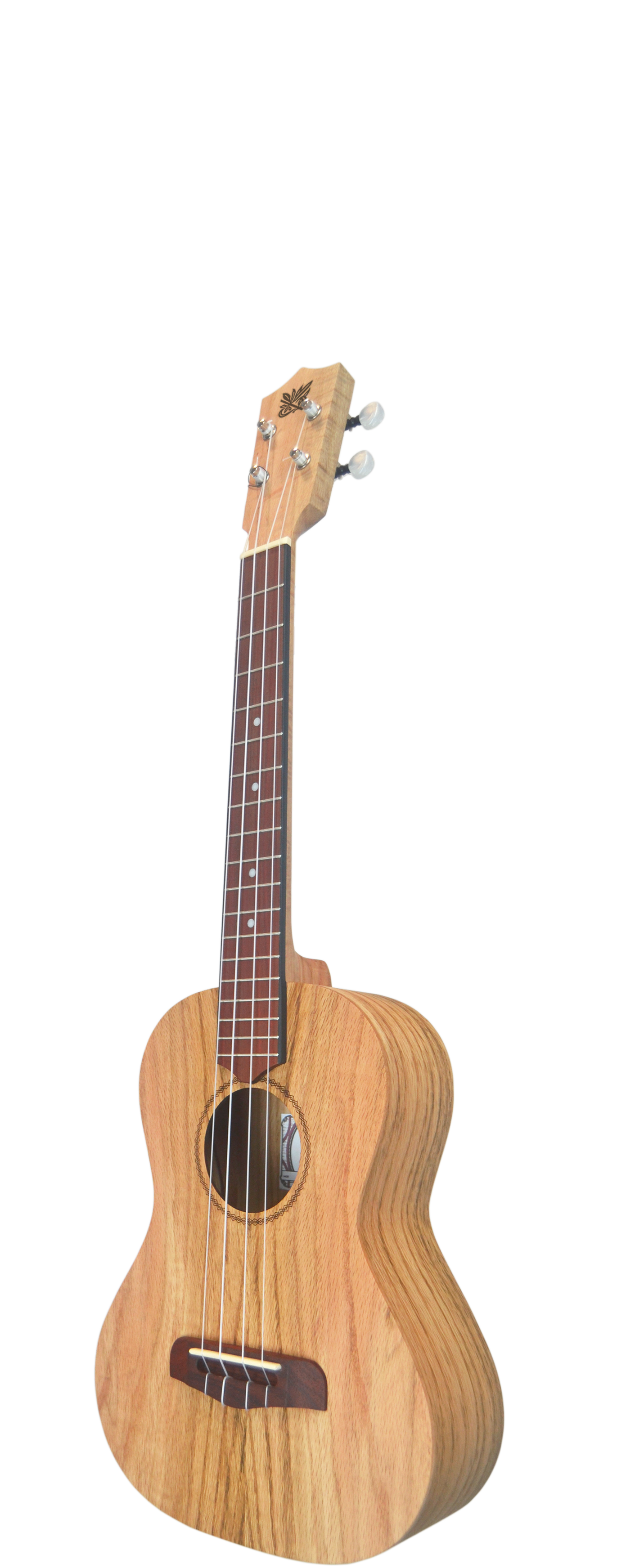 USTD T OAK - Tenor size