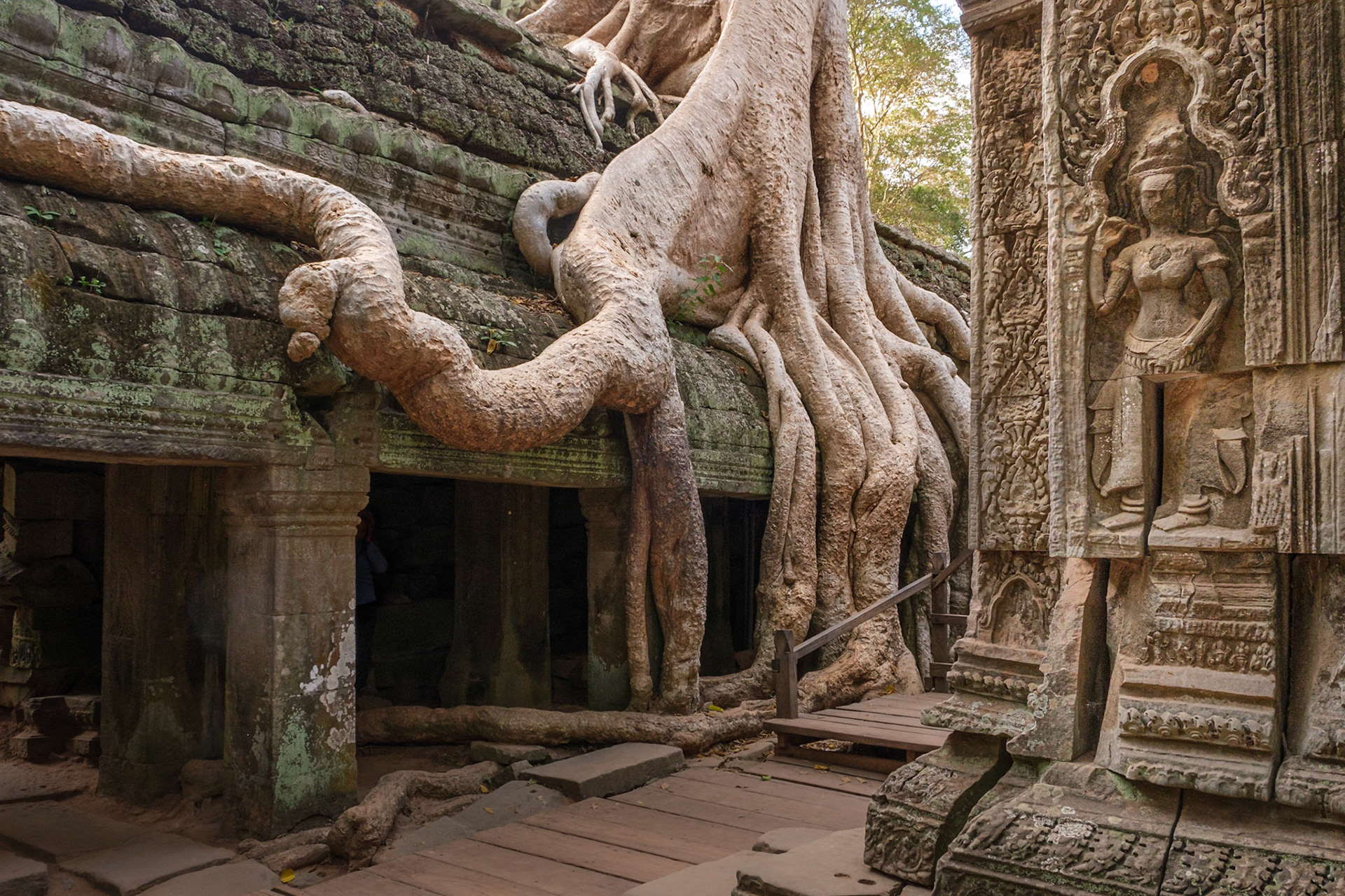 Prasat Ta Prohm