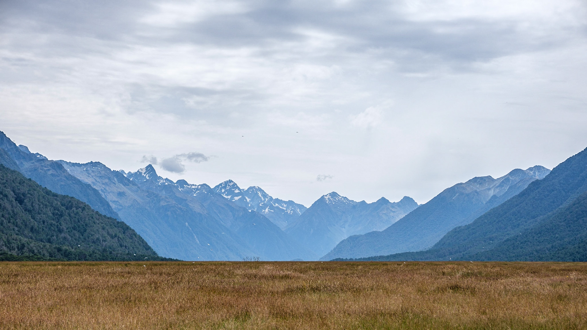 on the way to milford sound