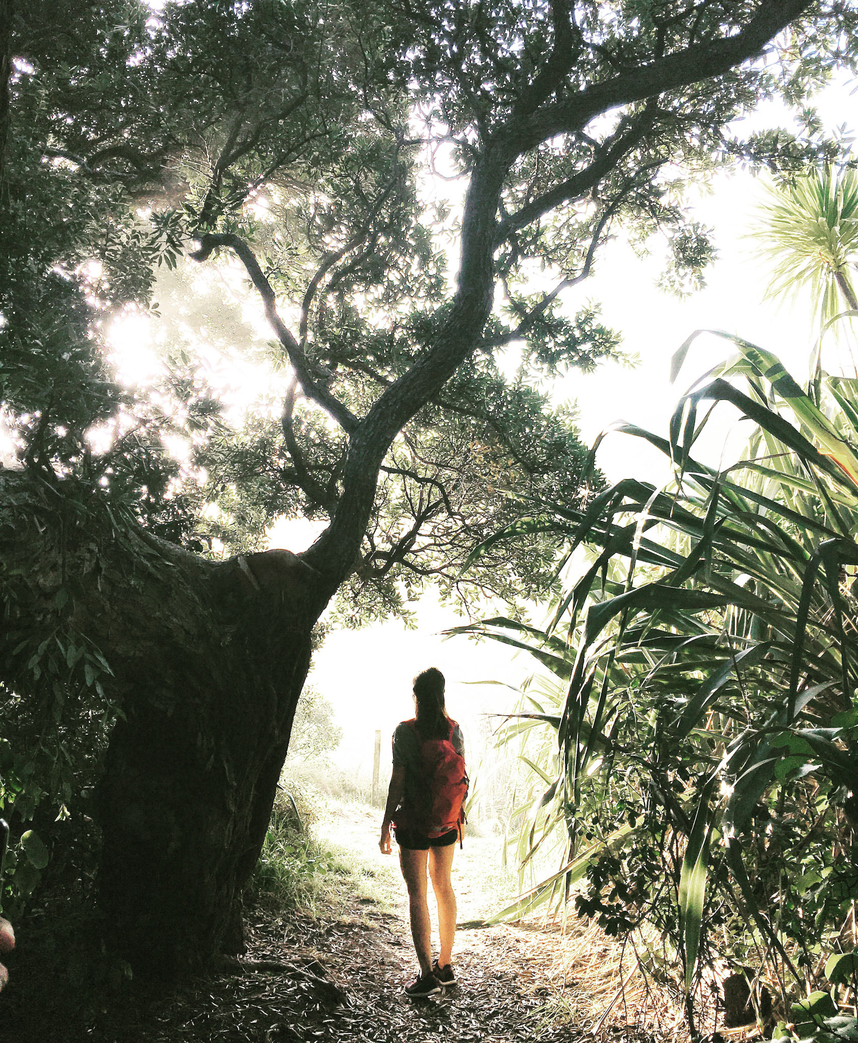 Processed with VSCO with a1 preset