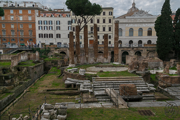 Colossus Rome Nick John - Largo di Torre Argentina - Rome