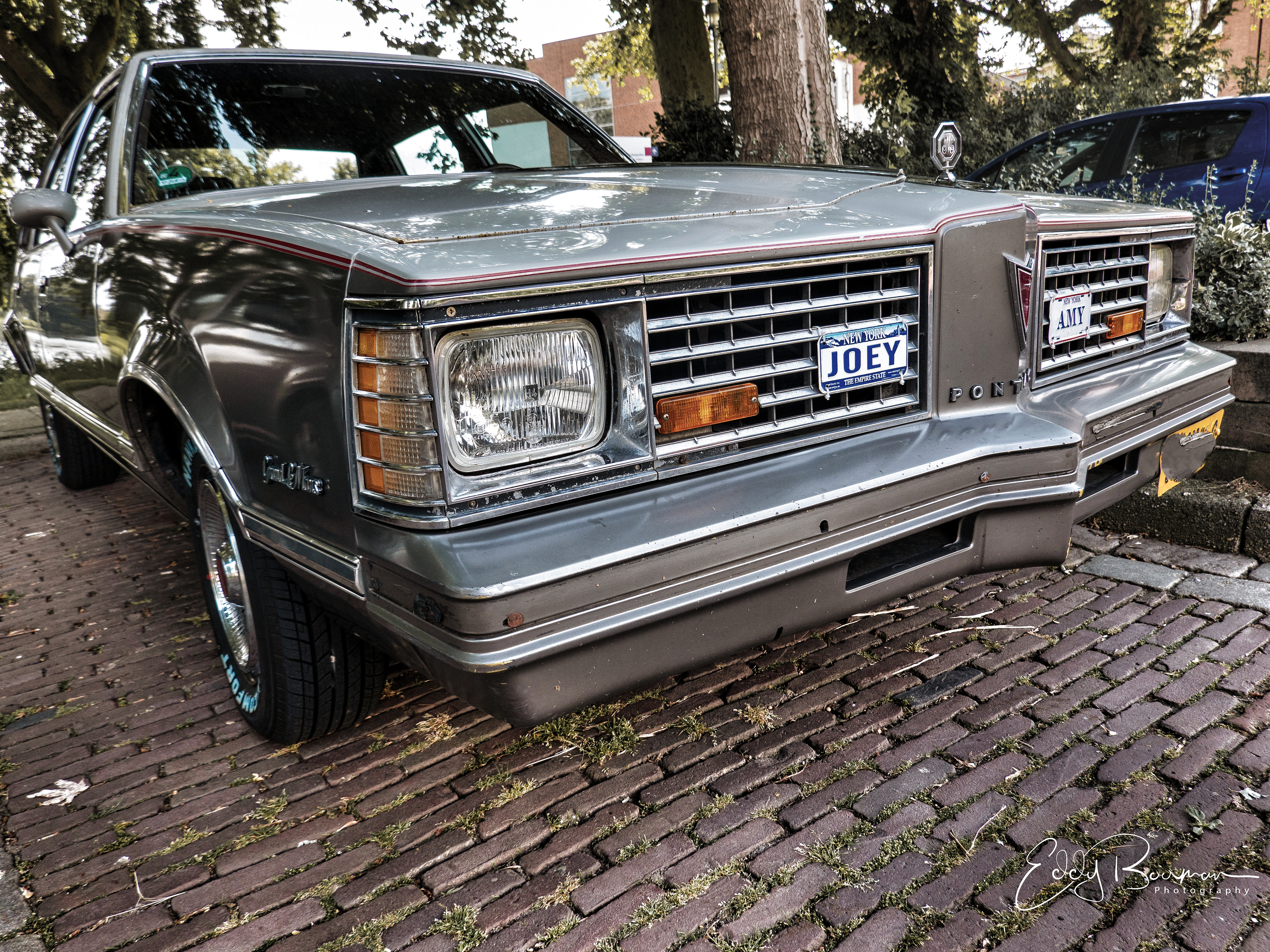 Pontiac Grand leMans, 1981