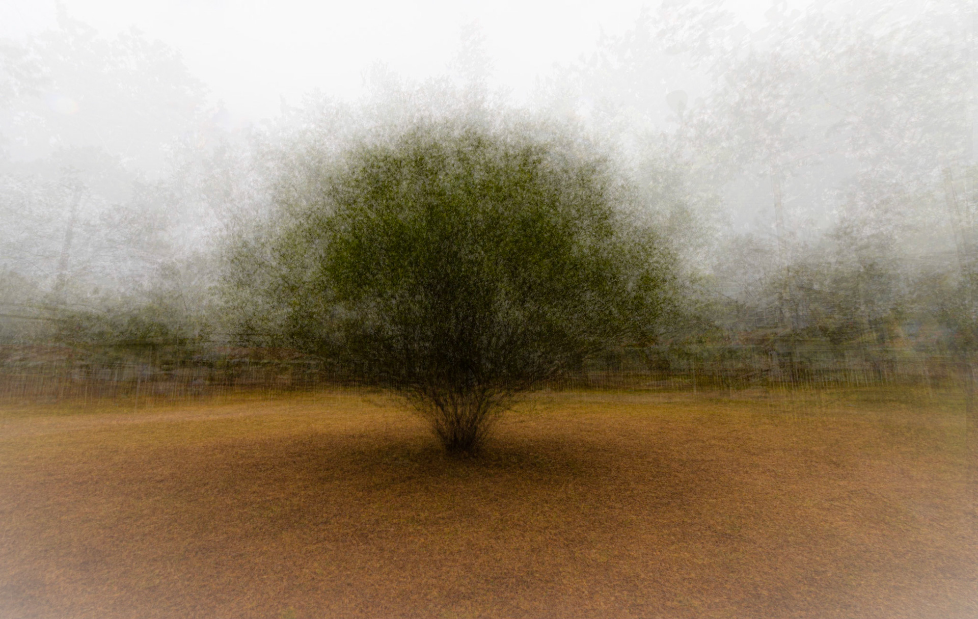 Round and round... - The Island, Sedgefield