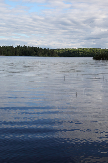 Lugnet 034