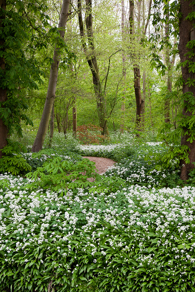 DE May 003
