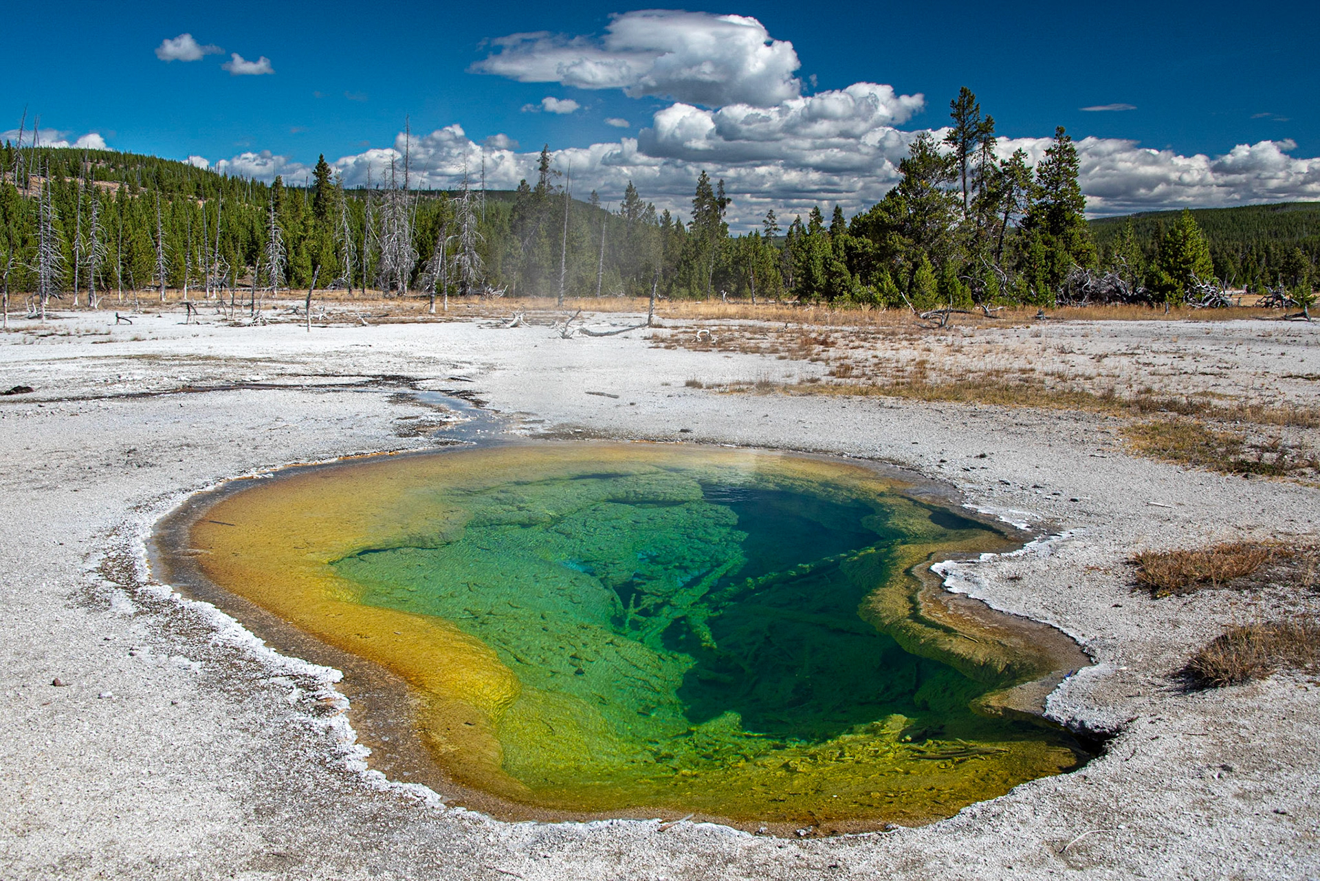 Jewel Geyser