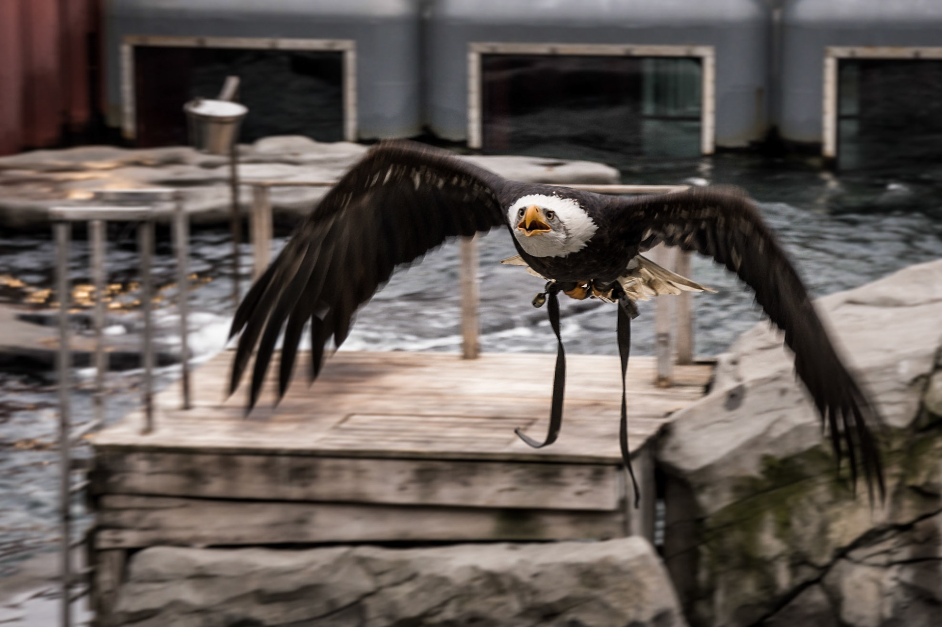 Letzte Woche auf der #PSConfEU im Erlebnis-Zoo Hannover