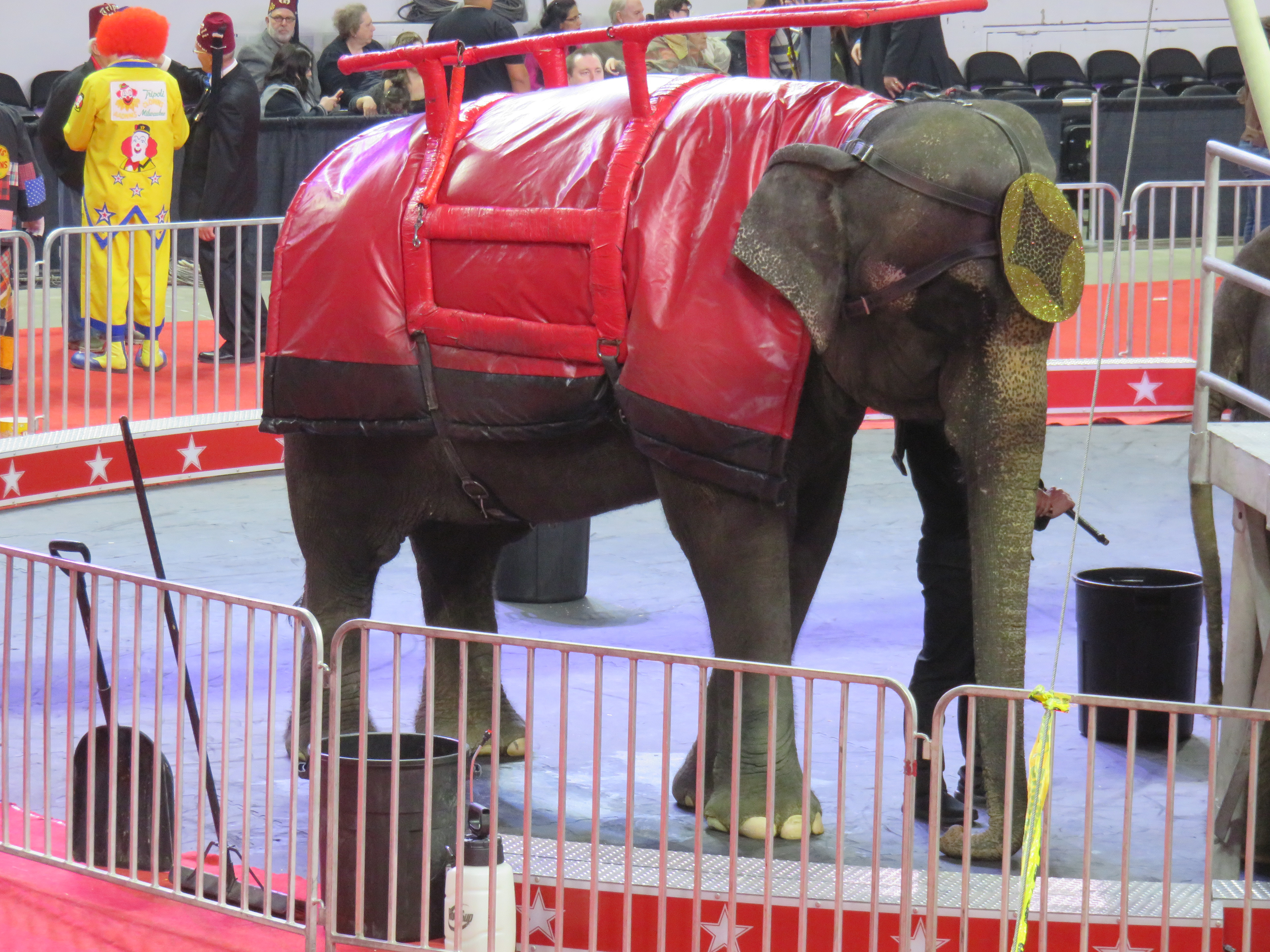 Jill Hockerman 18 Shrine Circus