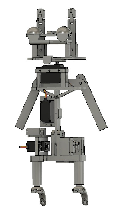 Owl-side view
