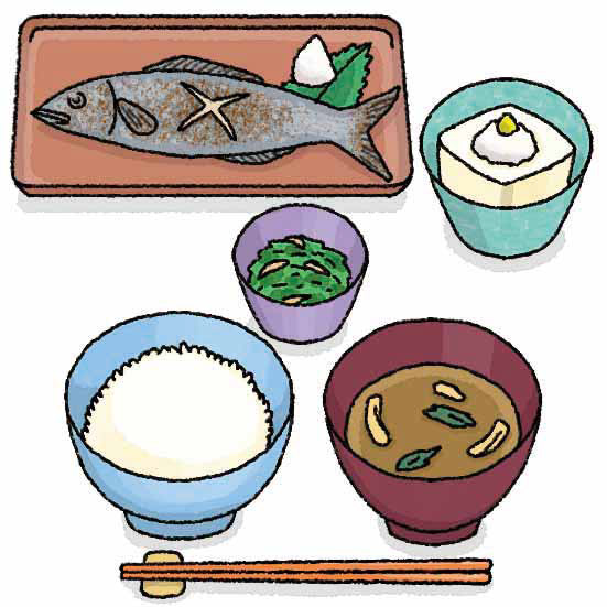 野菜酵素 冊子「野草だより」挿画