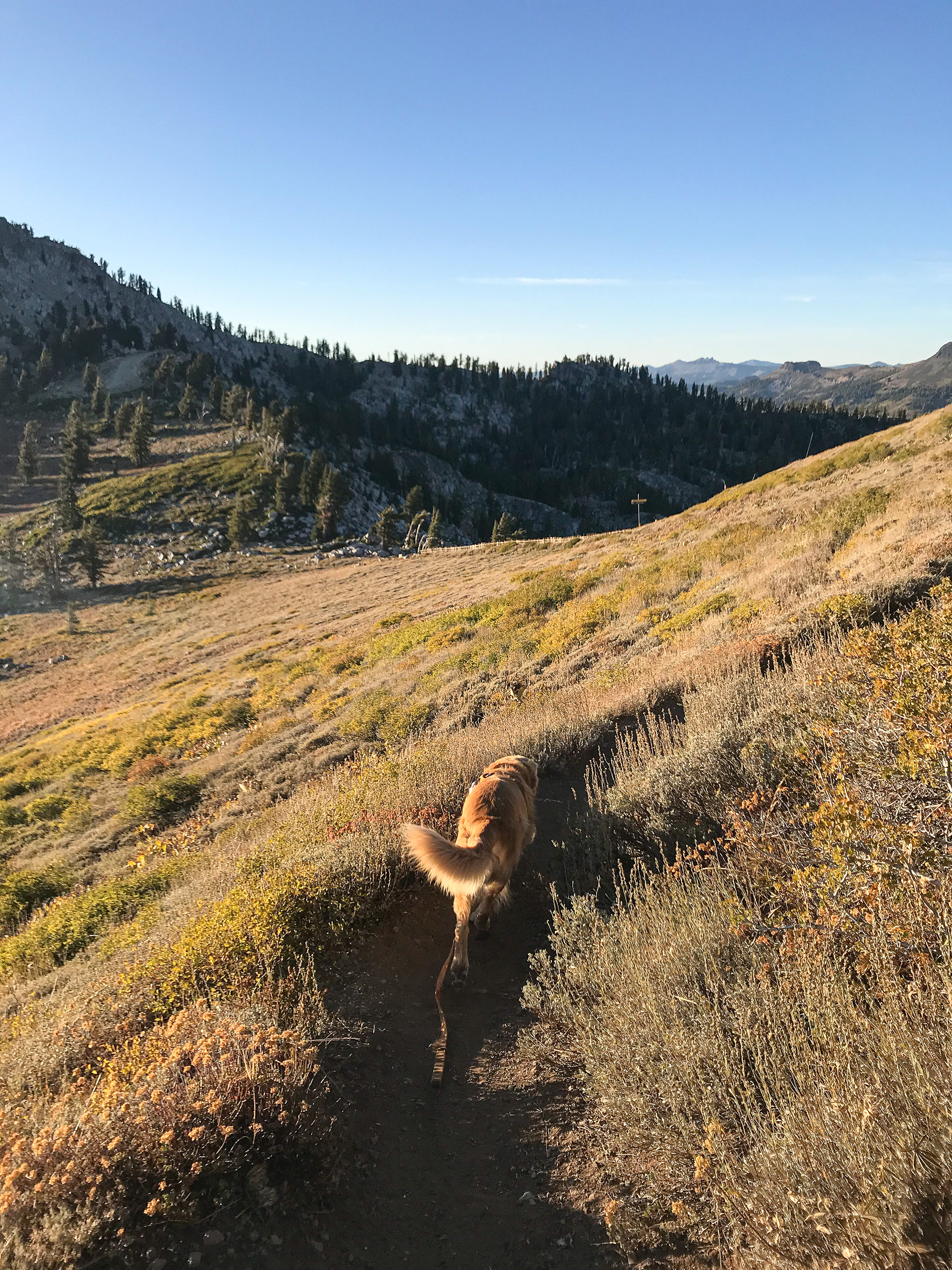 Entering the Sierra's