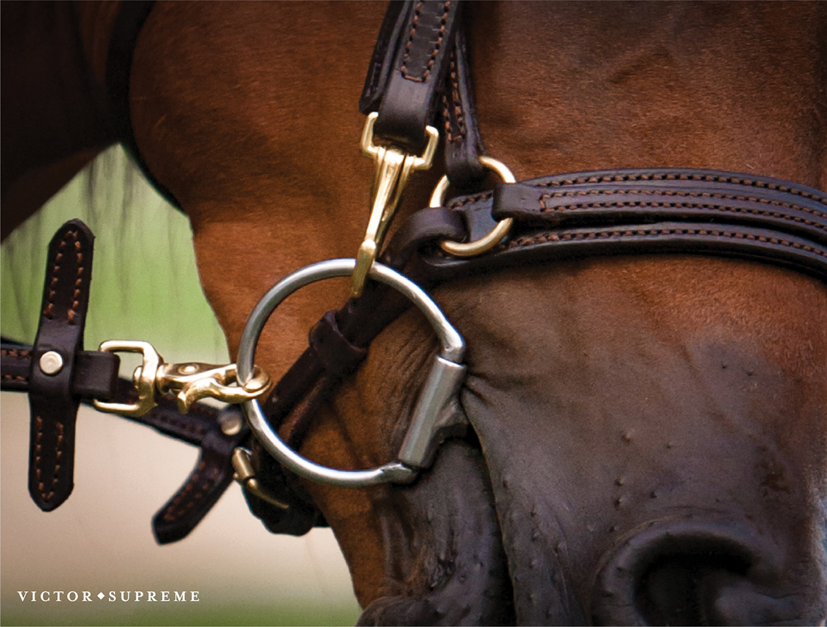 designer photographer entrepreneur Schneiders Saddlery Arabian Training Tack Ide