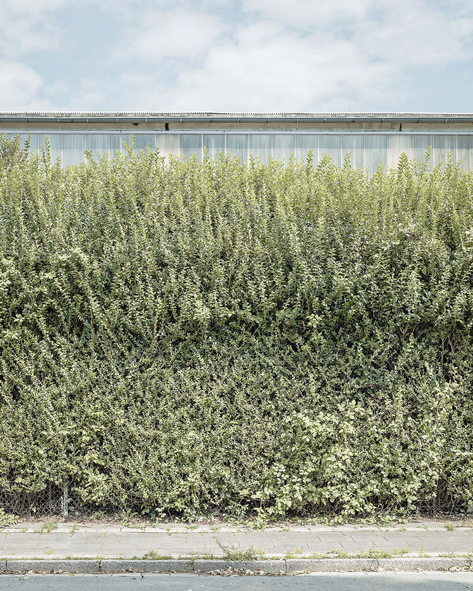 Industriehalle hinter einer Hecke