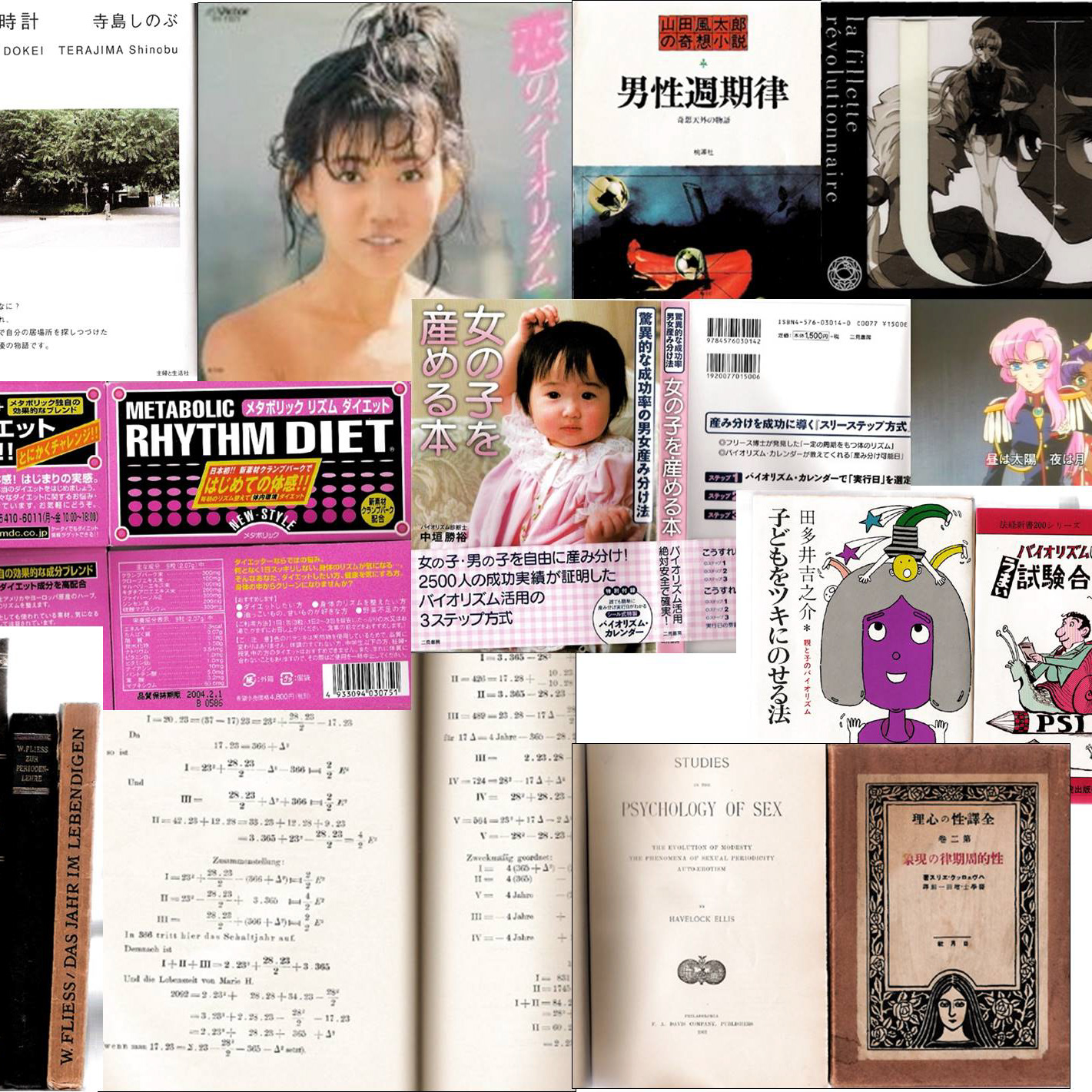 Hideo Iwasaki Cultural Study On Biorhythm Phenomenon Hideo Iwasaki Cultural Study On Biorhythm Phenomenon