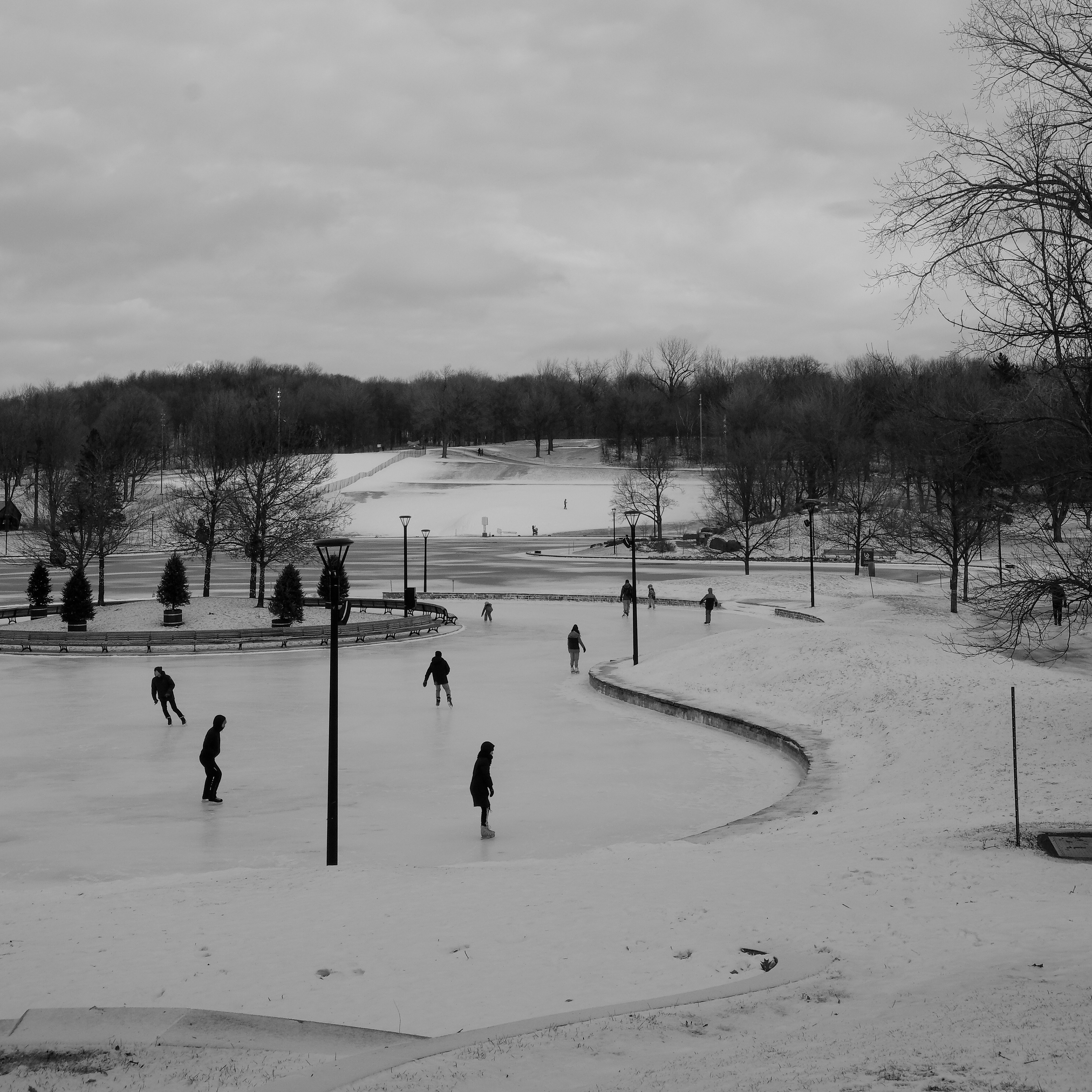 Parc du Mont-Royal