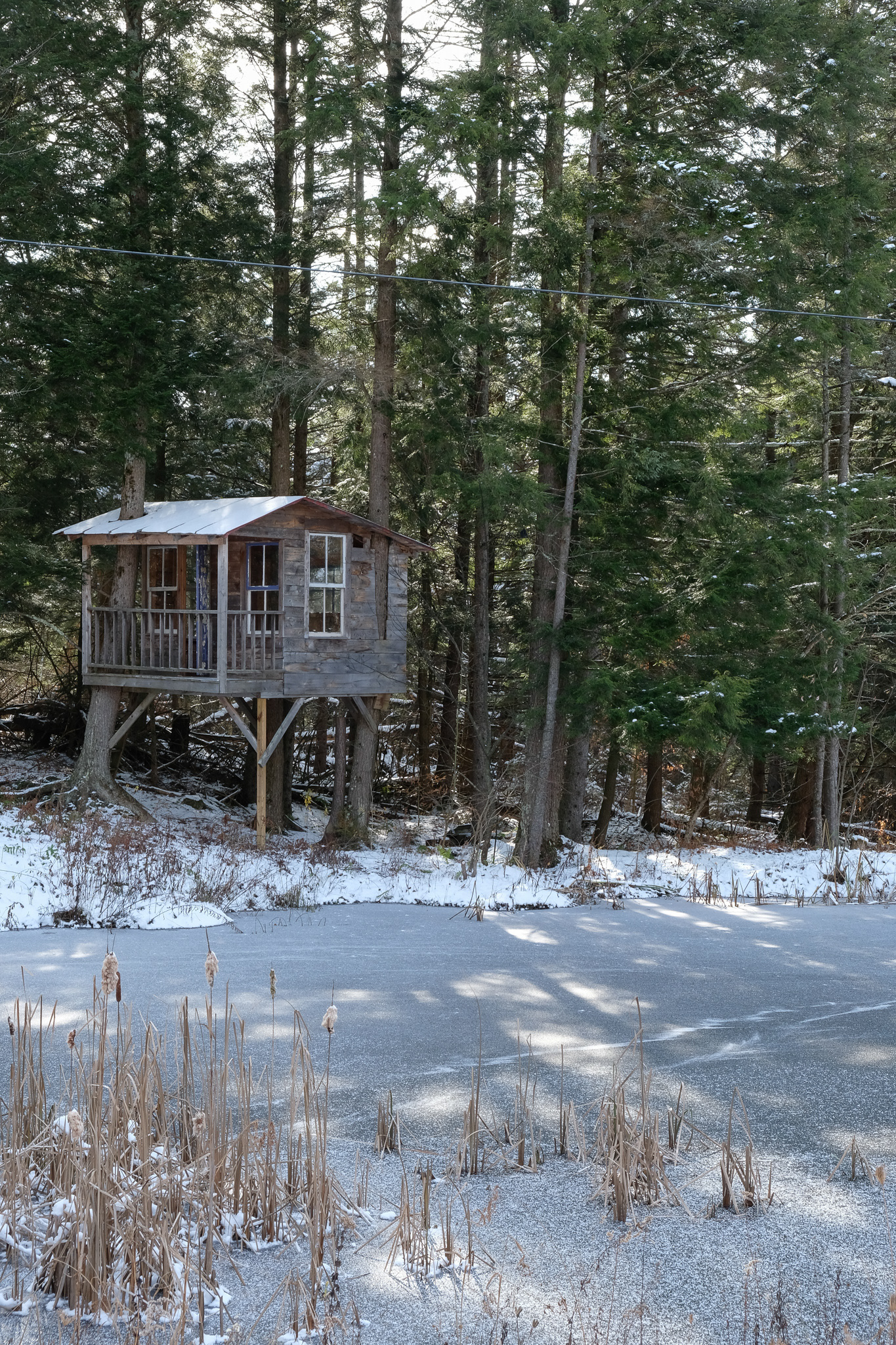 The treehouse by the pond