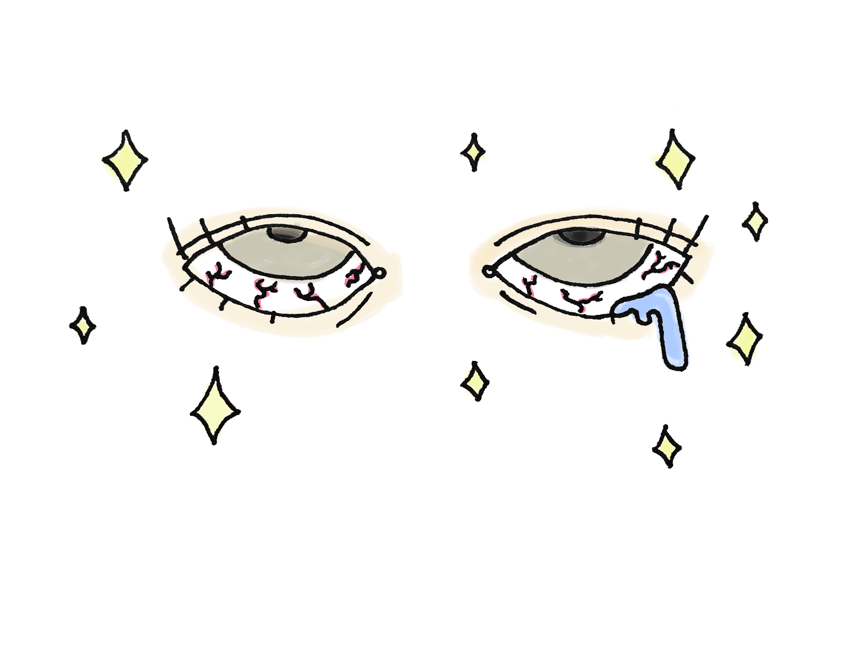 Shelby Chikazawa