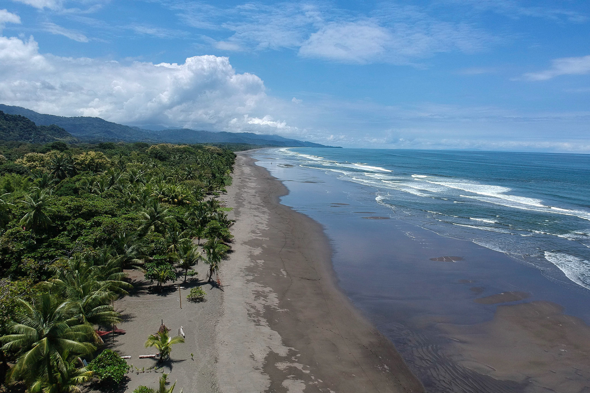 DCIM/100MEDIA/DJI_0105.JPG
