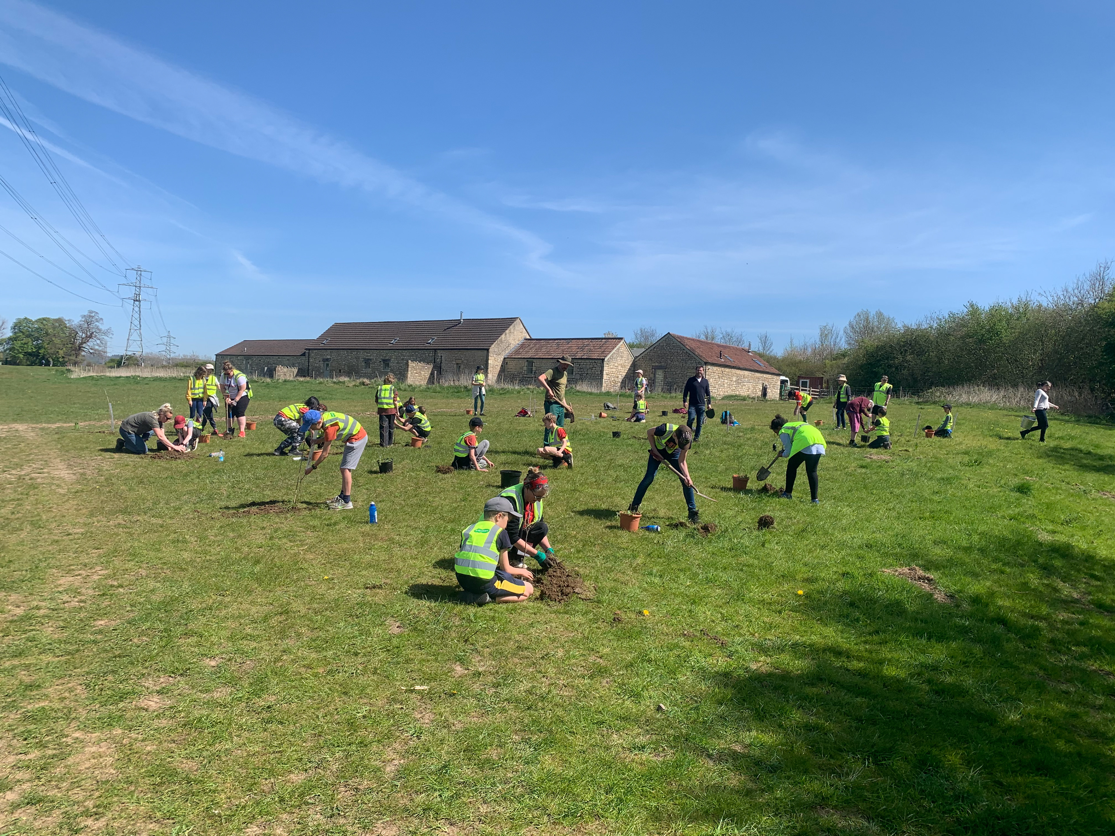 Oak class plant oak trees: When Grow Batheaston discovered that a number of oak trees were going to go to waste due to the pandemic, we took measures to make sure they could be planted in a suitable place. By liaising with the local school and a local landowner, they were finally planted a couple of weeks ago. Each child from oak class has been tasked with keeping an eye on the tree that they planted, thus ensuring they will be watered and taken care of the Oak trees on New Leaf Farm.